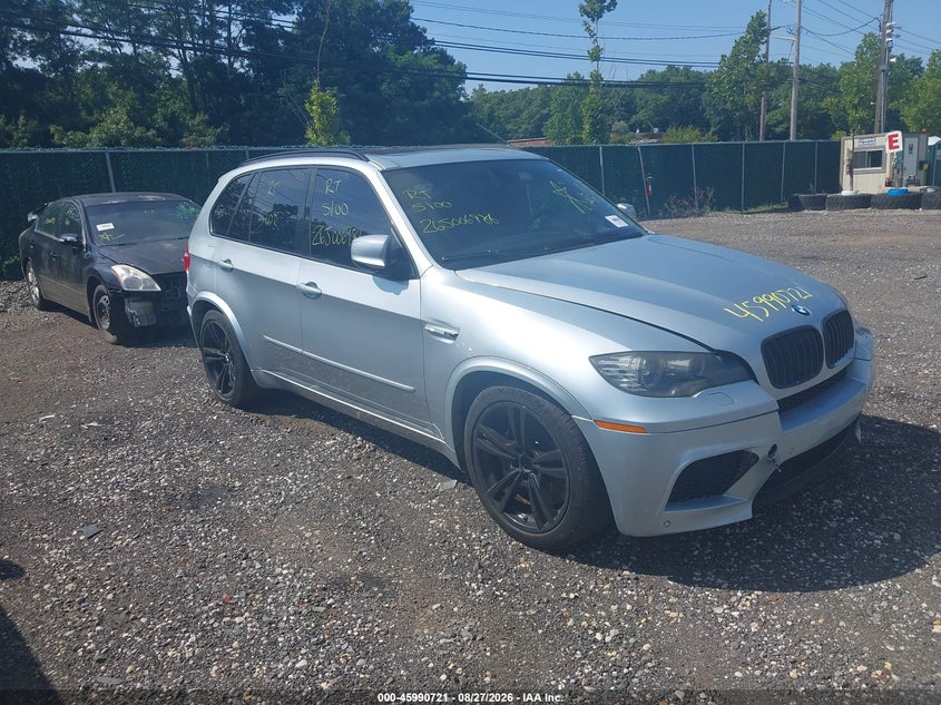 Vin: 5ymgy0c59alk25281, lot: 46490046, bmw x5 m 2010 img_1