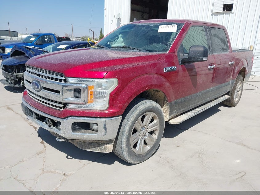 2019 Ford F-150, Right Side, IAAI, VIN 1FTEW1E46KFB77450 — photo 2
