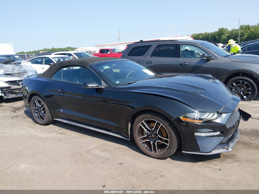 FORD MUSTANG