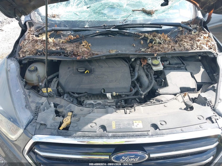 Фото 10 - FORD ESCAPE