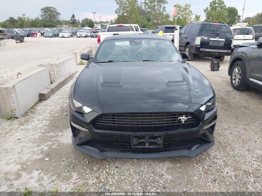 FORD MUSTANG - zdjęcie 13