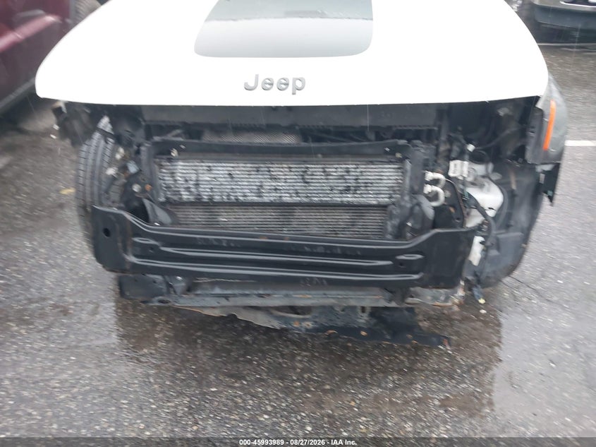 2019 JEEP RENEGADE auction photo 6