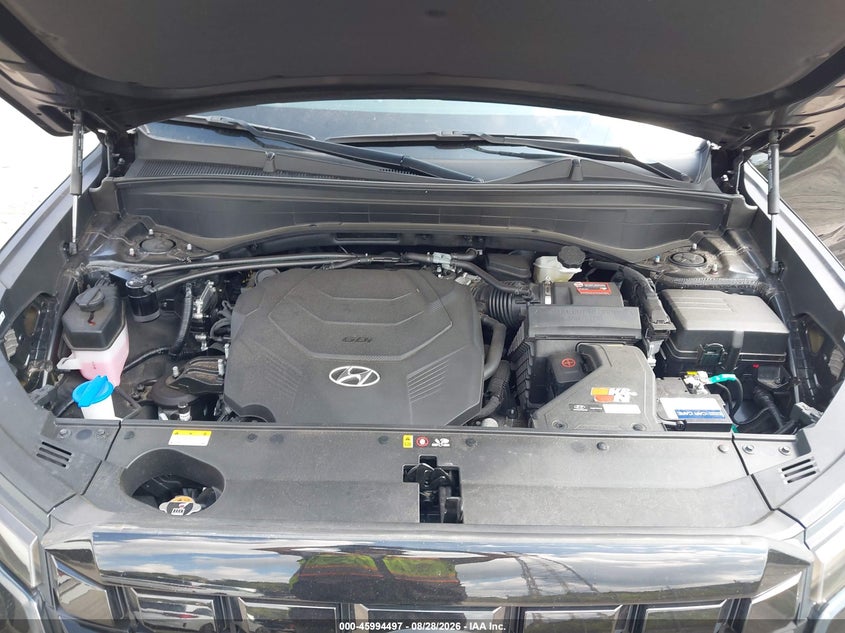 HYUNDAI PALISADE 2024 VIN KM8R5DGE3RU669589