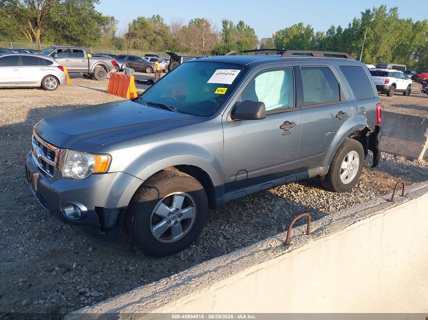 Vin: 1fmcu9d70akc03436, lot: 46493861, ford escape xlt 20102