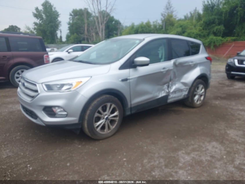 2019 Ford Escape, Left Side, IAAI, VIN 1FMCU0GD8KUB13129 — photo 2