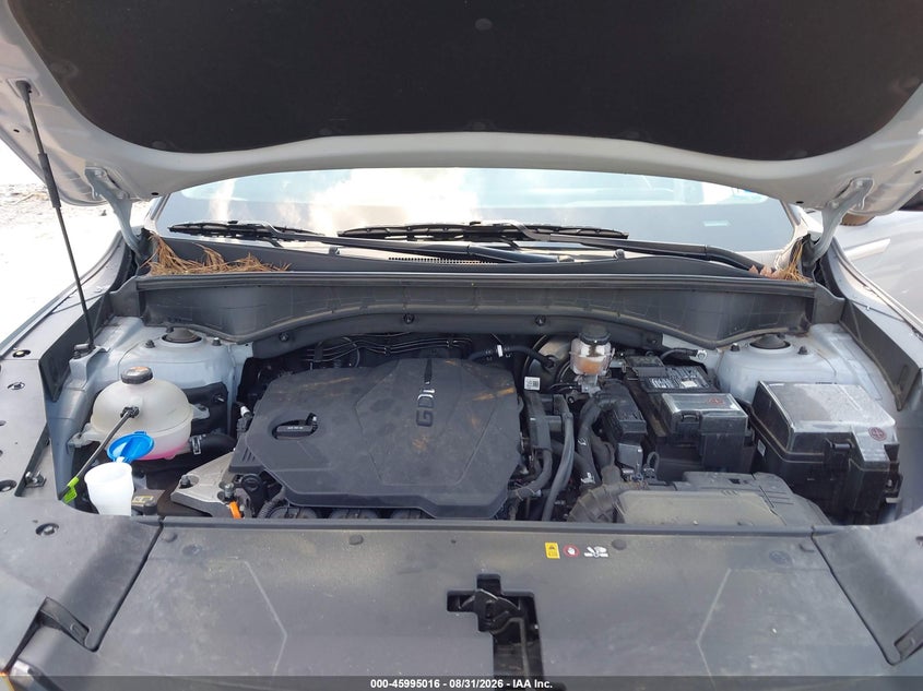 KIA SORENTO 2024 VIN 5XYRL4JC3RG293768