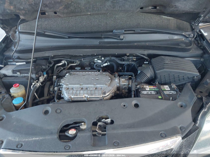 HONDA ODYSSEY 2005 VIN 5FNRL388X5B101534