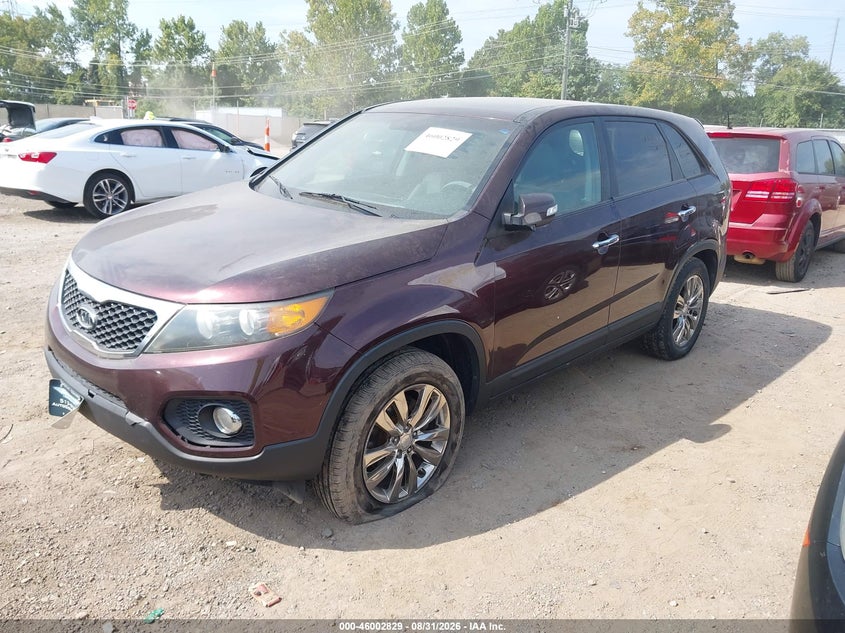 2011 Kia Sorento, Звичайний знос, IAAI, VIN 5XYKU4A21BG022381 — фото 2
