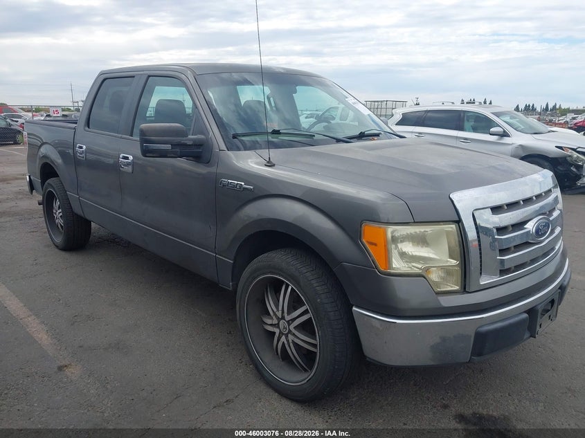 Vin: 1ftew1cw7ake76813, lot: 46502421, ford f-150 xl 2010 img_1