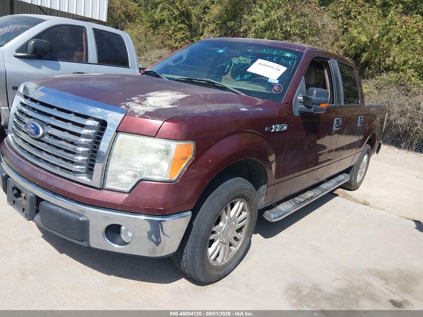 Vin: 1ftfw1cv9afb73780, lot: 46503496, ford f-150 fx2 sport/harley-davidson/king ranch/lariat/platinum/xl/xlt 20102