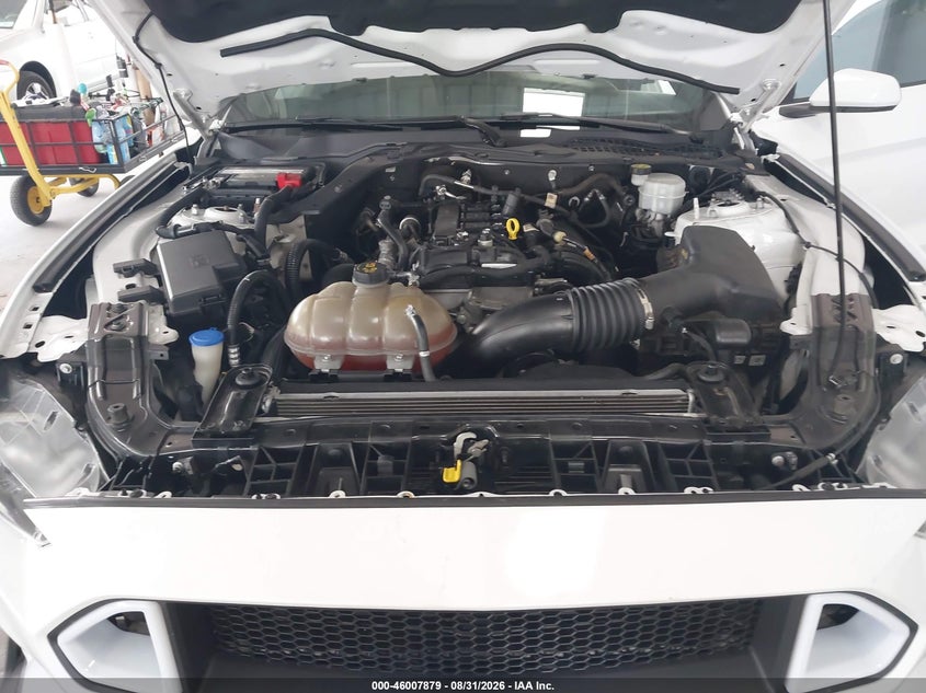 FORD MUSTANG - zdjęcie 10