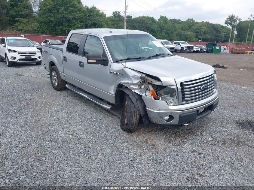 Vin: 1ftfw1ef4bfb74598, lot: 46508648, ford f-150 xlt 2011 img_1