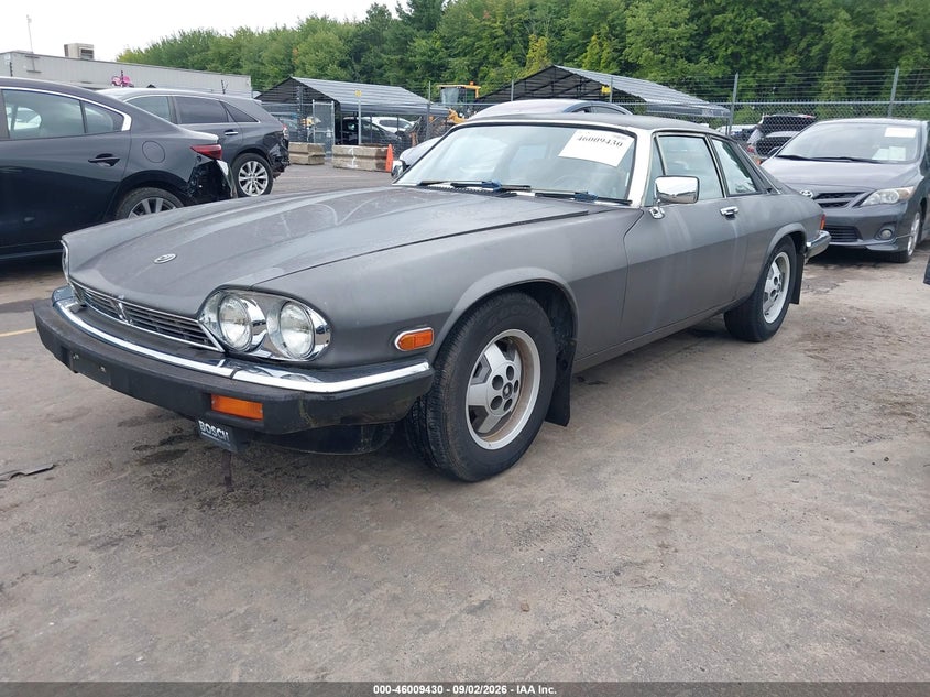 1985 Jaguar XJS, Обычный износ, IAAI, VIN SAJNV5847FC120558 — фото 2