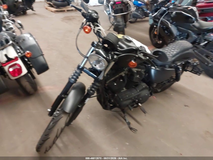 2009 HARLEY-DAVIDSON XL883 auction photo 2