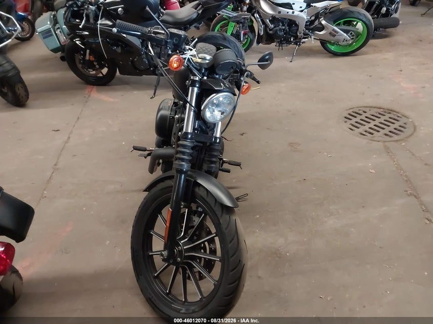 2009 HARLEY-DAVIDSON XL883 auction photo 5