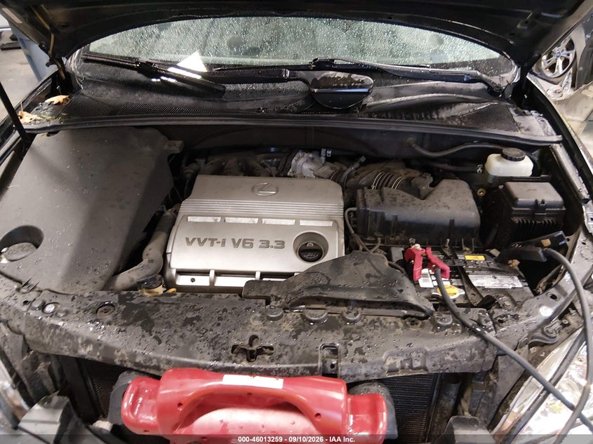LEXUS RX 330 2004 VIN JTJGA31U540021590