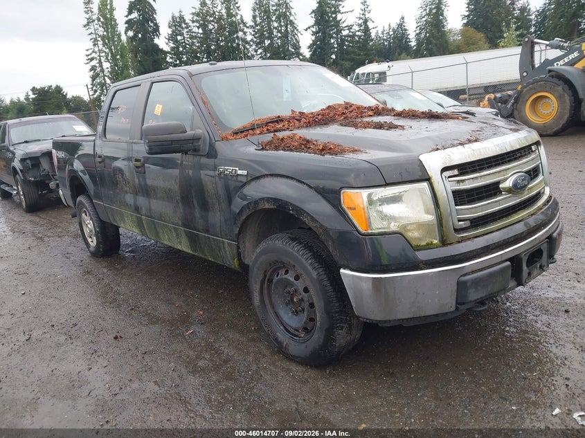 Vin: 1ftfw1ef5dfa83682, lot: 46514098, ford f-150 xlt 2013 img_1