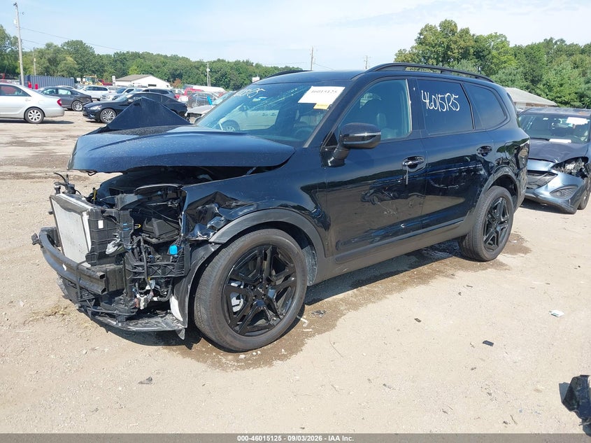 Vin: 5xyp3dgc5rg519291, lot: 46514516, kia telluride ex x-line 20242
