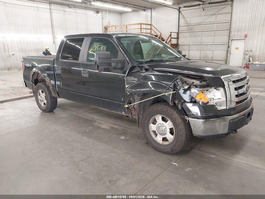 Vin: 1ftfw1ev1afc31037, lot: 46516159, ford f-150 fx4/harley-davidson/king ranch/lariat/platinum/xl/xlt 2010 img_1