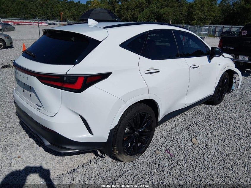 LEXUS NX 350 2024 VIN 2T2KGCEZ6RC050994