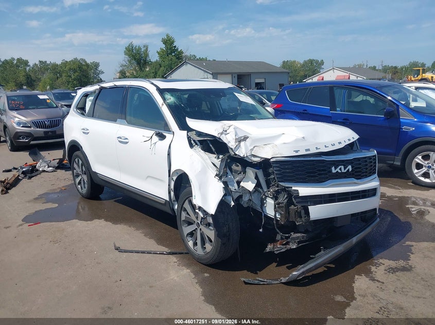KIA TELLURIDE 2022 VIN 5XYP6DHC1NG316365