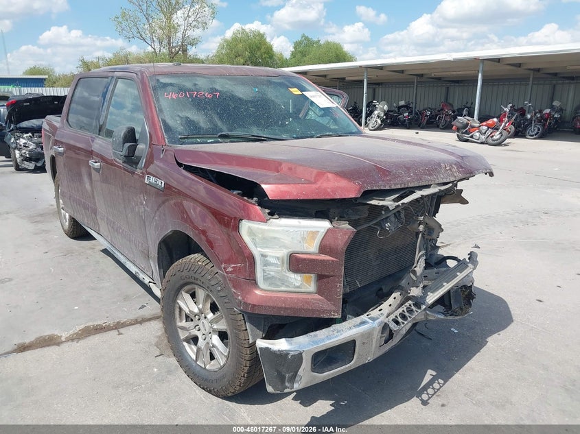 Vin: 1ftew1cf4fke72158, lot: 46516658, ford f-150 xlt 2015 img_1