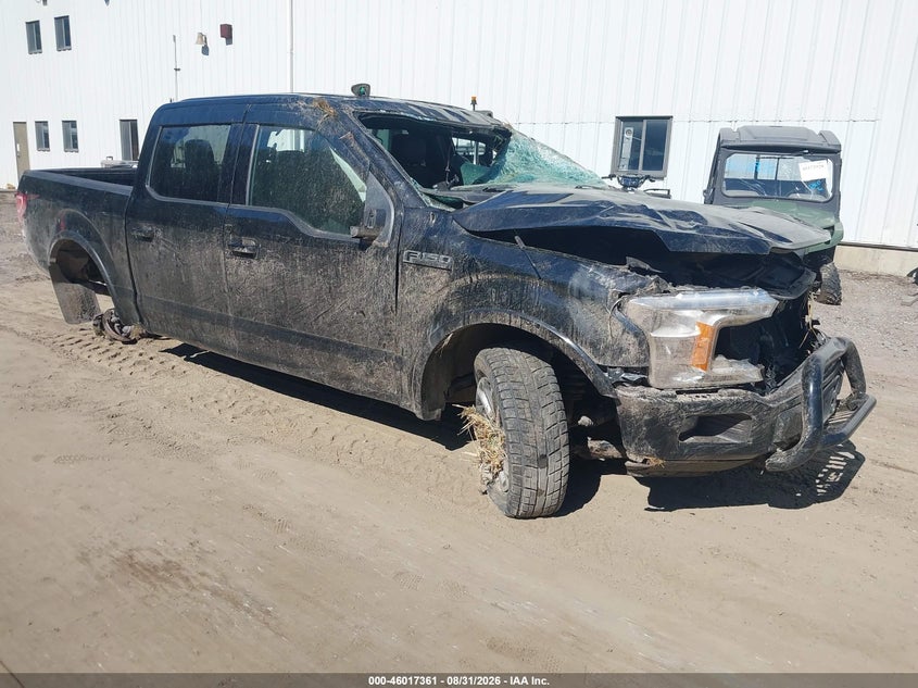 Vin: 1ftew1e50kfc38817, lot: 46516752, ford f-150 xlt 2019 img_1