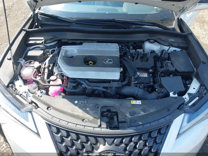 LEXUS UX 250H 2024 VIN JTHP9JBHXR2076936