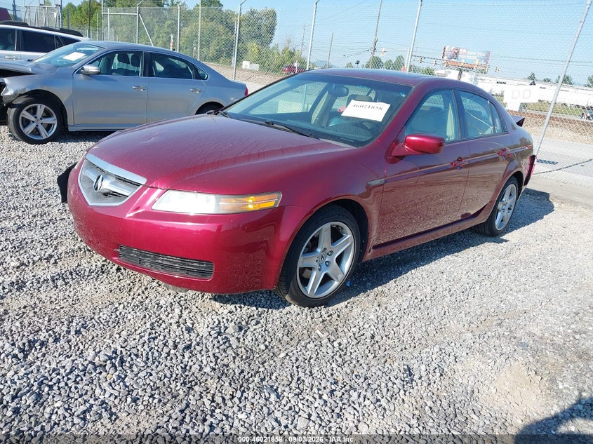 ACURA TL 2006 VIN 19UUA66206A025348