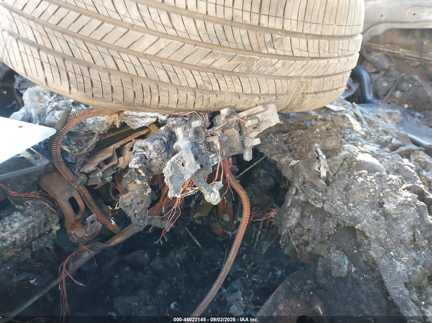 KIA SPORTAGE 2020 VIN KNDPN3AC6L7677446