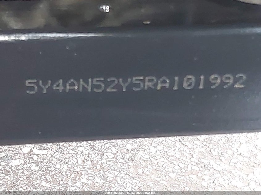YAMAHA YXE1000 2024