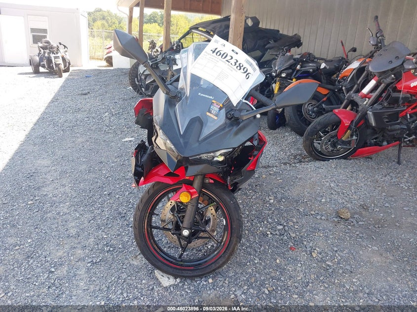 KAWASAKI EX500 2024