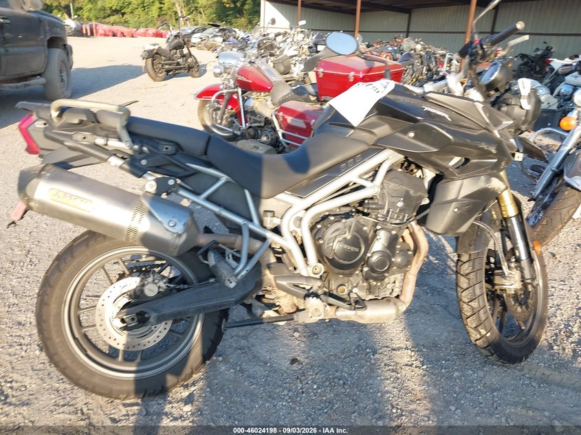 TRIUMPH TIGER 2011