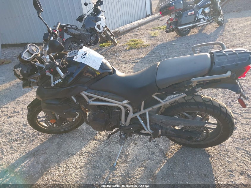 TRIUMPH TIGER 2011