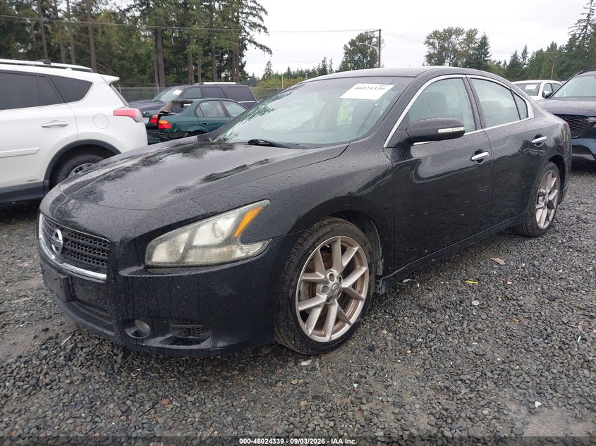 2011 Nissan Maxima, Right Rear, IAAI, VIN 1N4AA5AP5BC849686 — photo 2