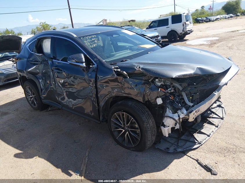 2024 LEXUS NX 350 PREMIUM