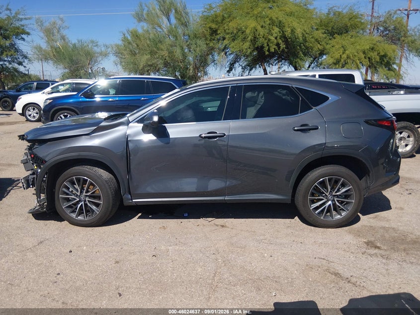 2024 LEXUS NX 350 PREMIUM · Photo 15