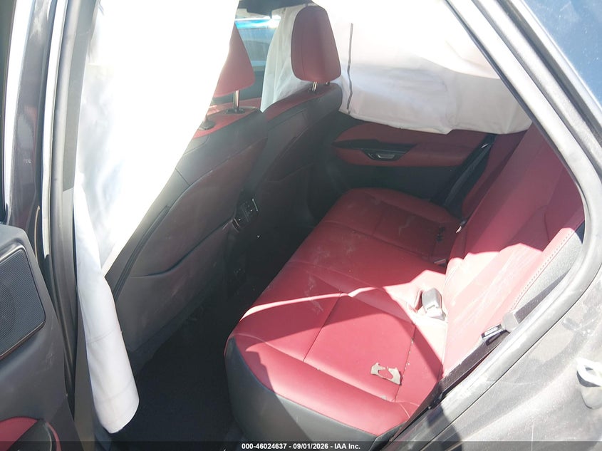 2024 LEXUS NX 350 PREMIUM · Photo 8