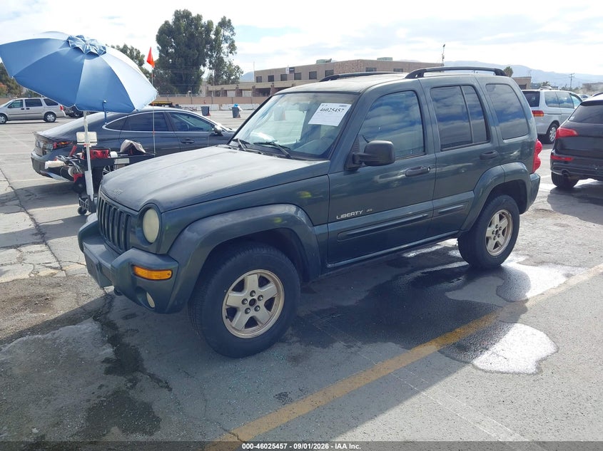 JEEP LIBERTY 2002 VIN 1J8GL58K82W195184