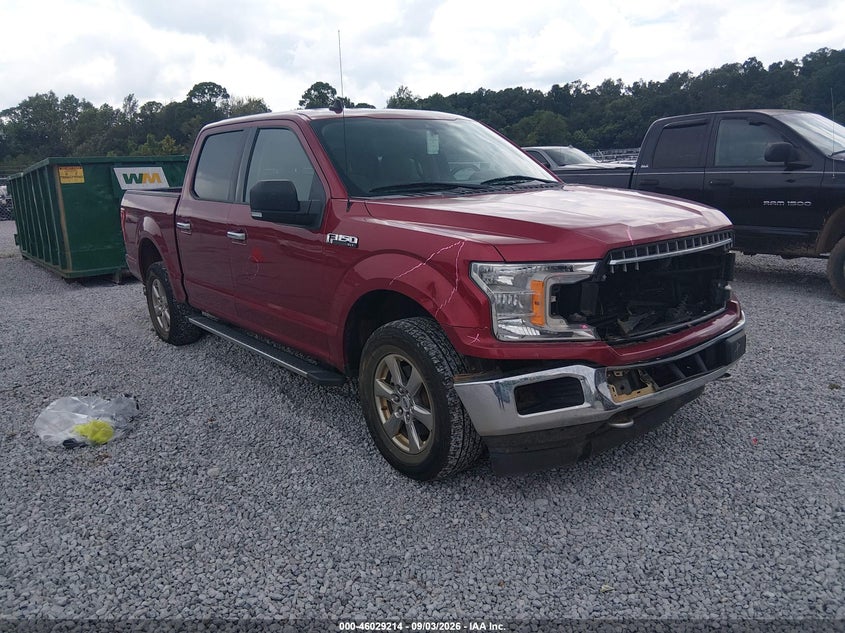 Vin: 1ftew1ep9kfd26055, lot: 46528633, ford f-150 xlt 2019 img_1