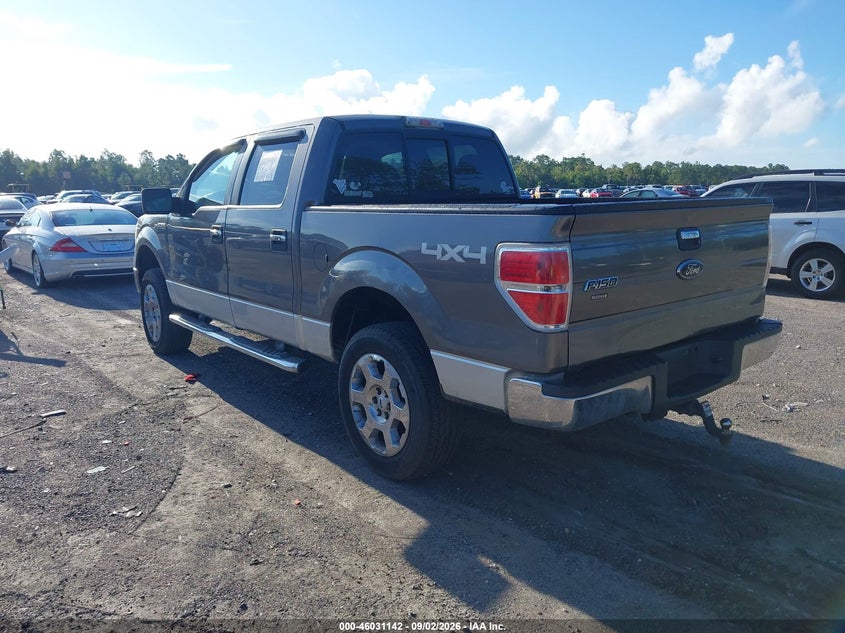2010 FORD F-150 auction photo 3