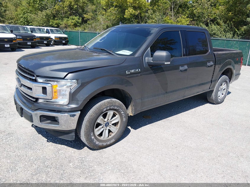 Vin: 1ftew1eb6kke67225, lot: 46531392, ford f-150 xl/xlt 20192