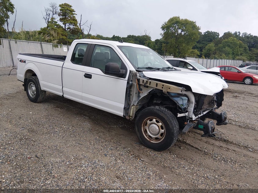 Vin: 1ftex1e58lke08766, lot: 46532830, ford f-150 xl 2020 img_1