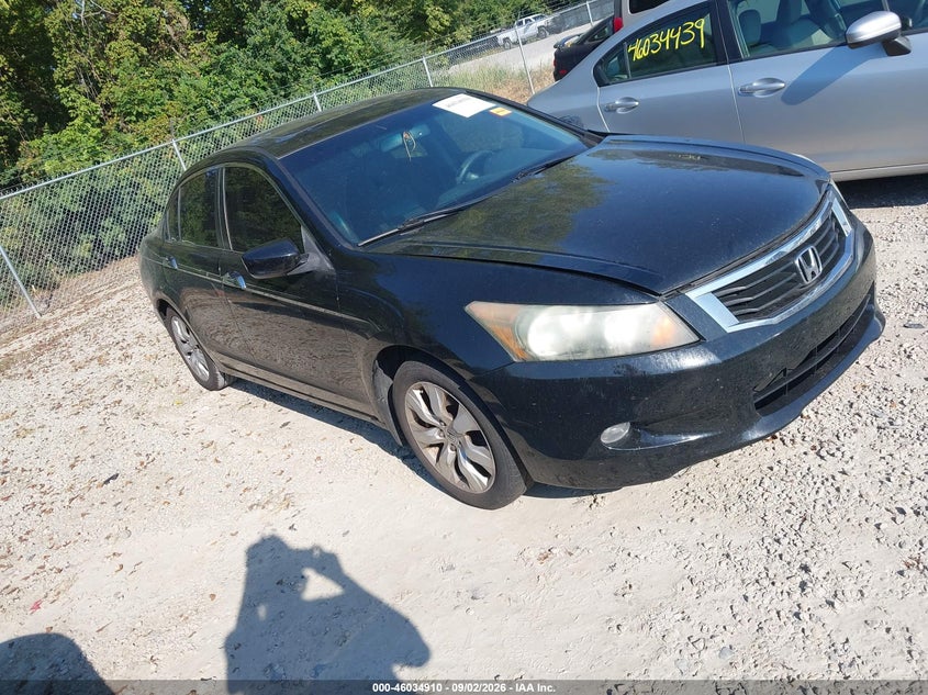 2010 HONDA ACCORD auction photo 1