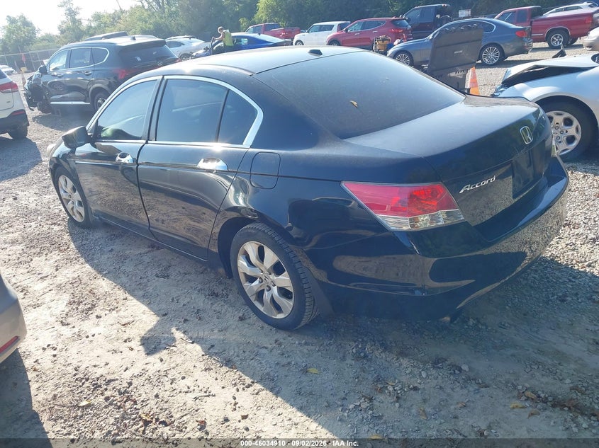2010 HONDA ACCORD auction photo 3