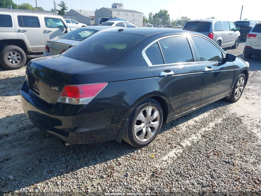 2010 HONDA ACCORD auction photo 4