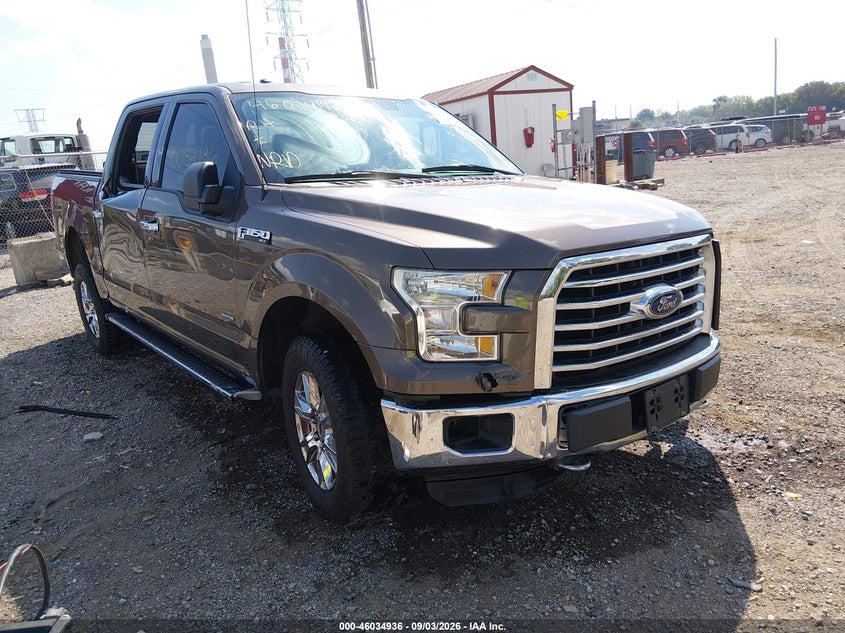 Vin: 1ftew1eg3fke99728, lot: 46534355, ford f-150 xlt 2015 img_1