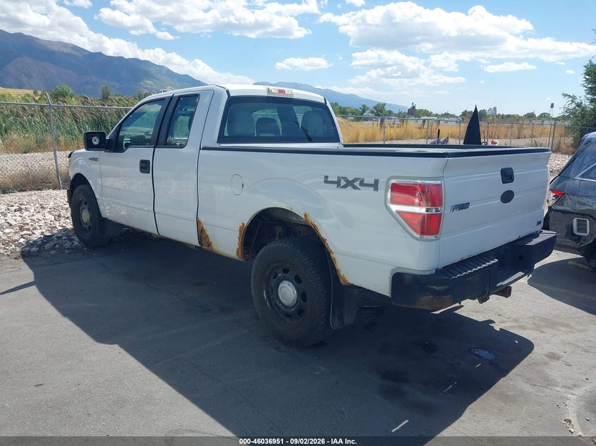2010 FORD F-150 auction photo 3
