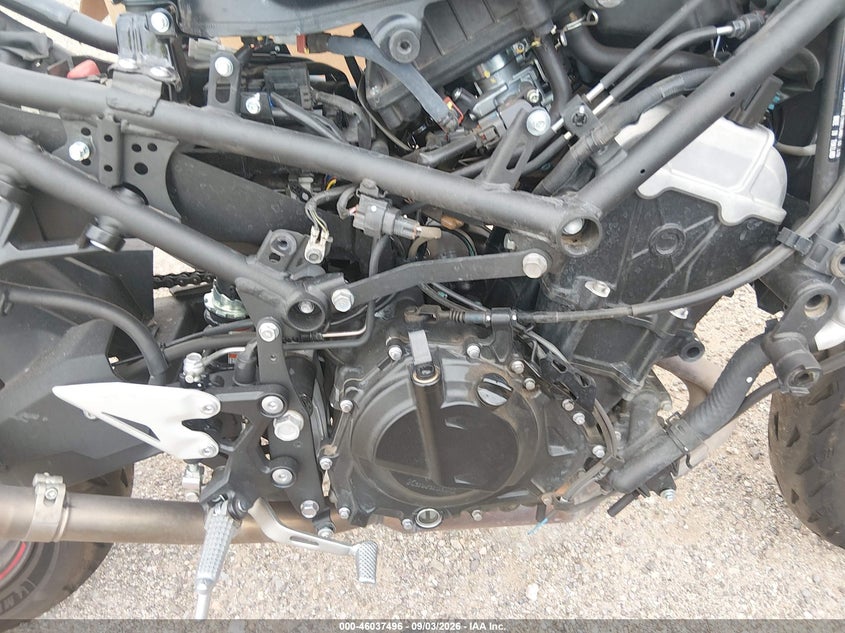 KAWASAKI EX500 2025