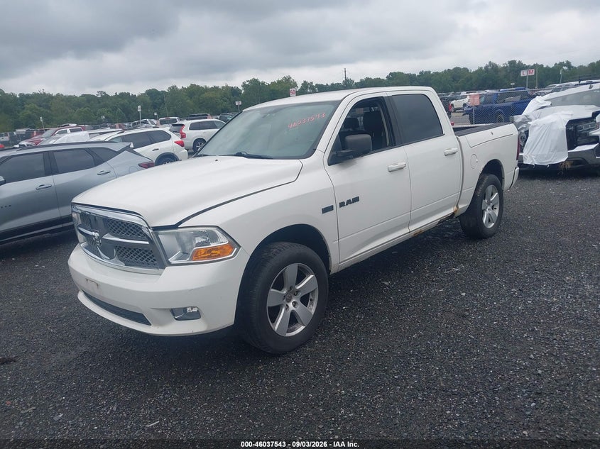DODGE RAM 1500 2009 VIN 1D3HV13T29J515953
